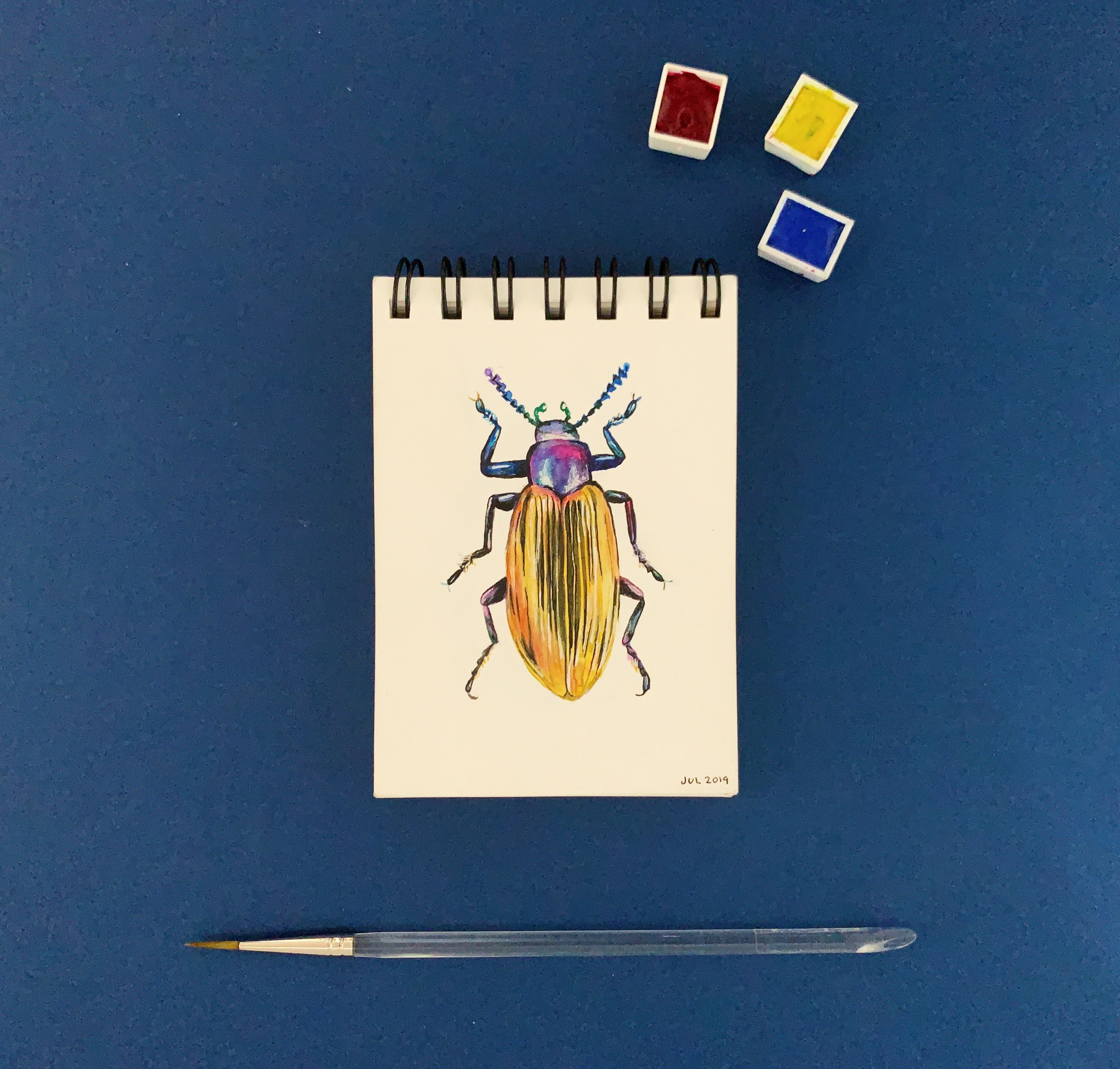 3. Add Life to Your Illustrations: Paulina's Techniques