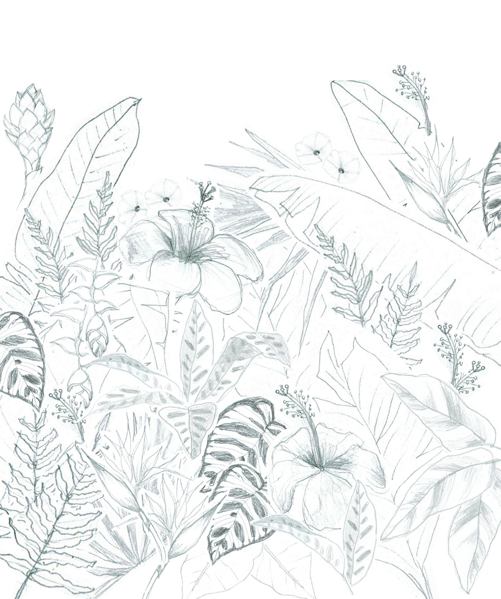 Create Stunning Botanical Art: A Course by Paulina Maciel by Paulina Maciel · Canela