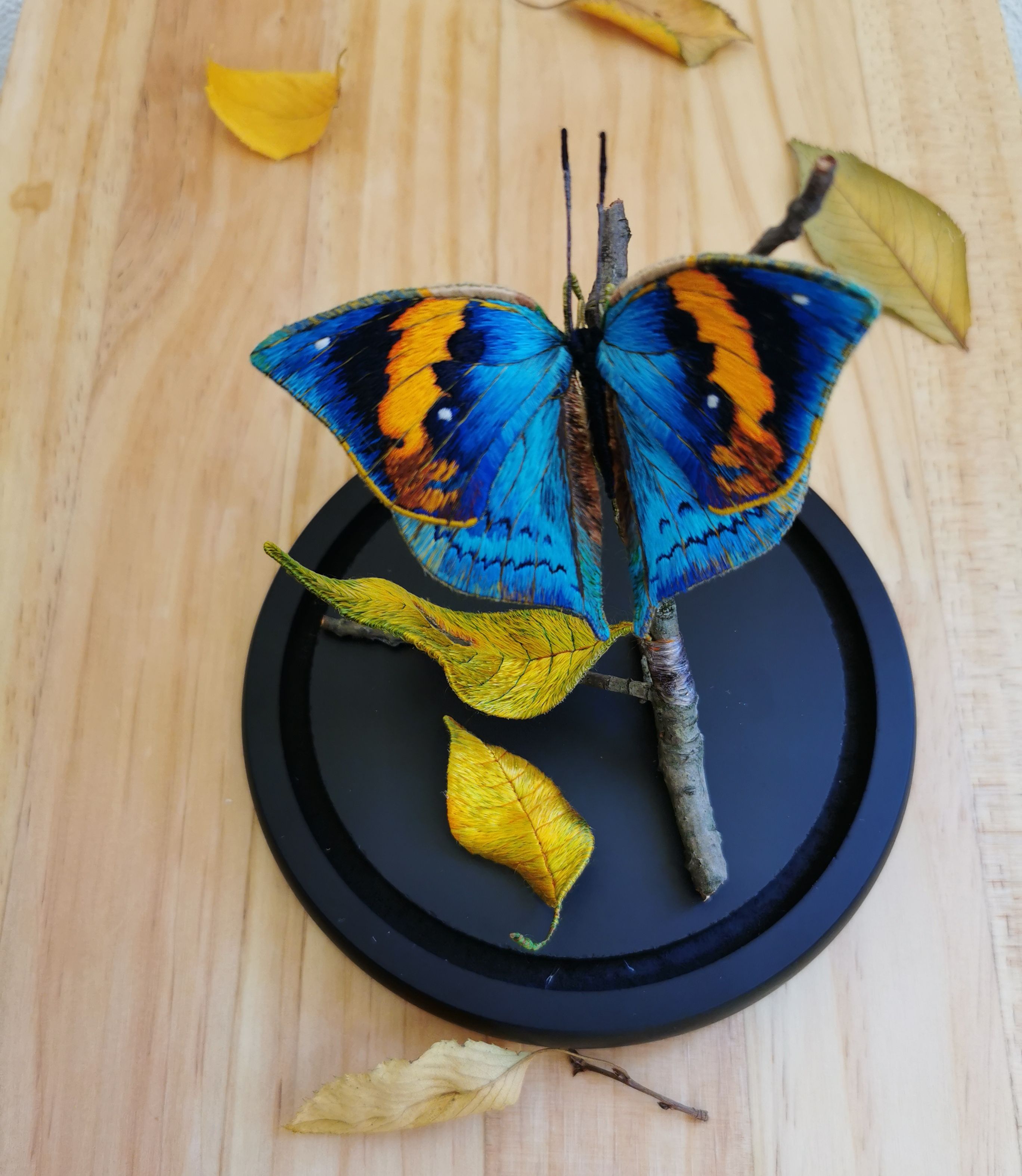 Embroidery for Beginners: Shan Xu's Course by shan
