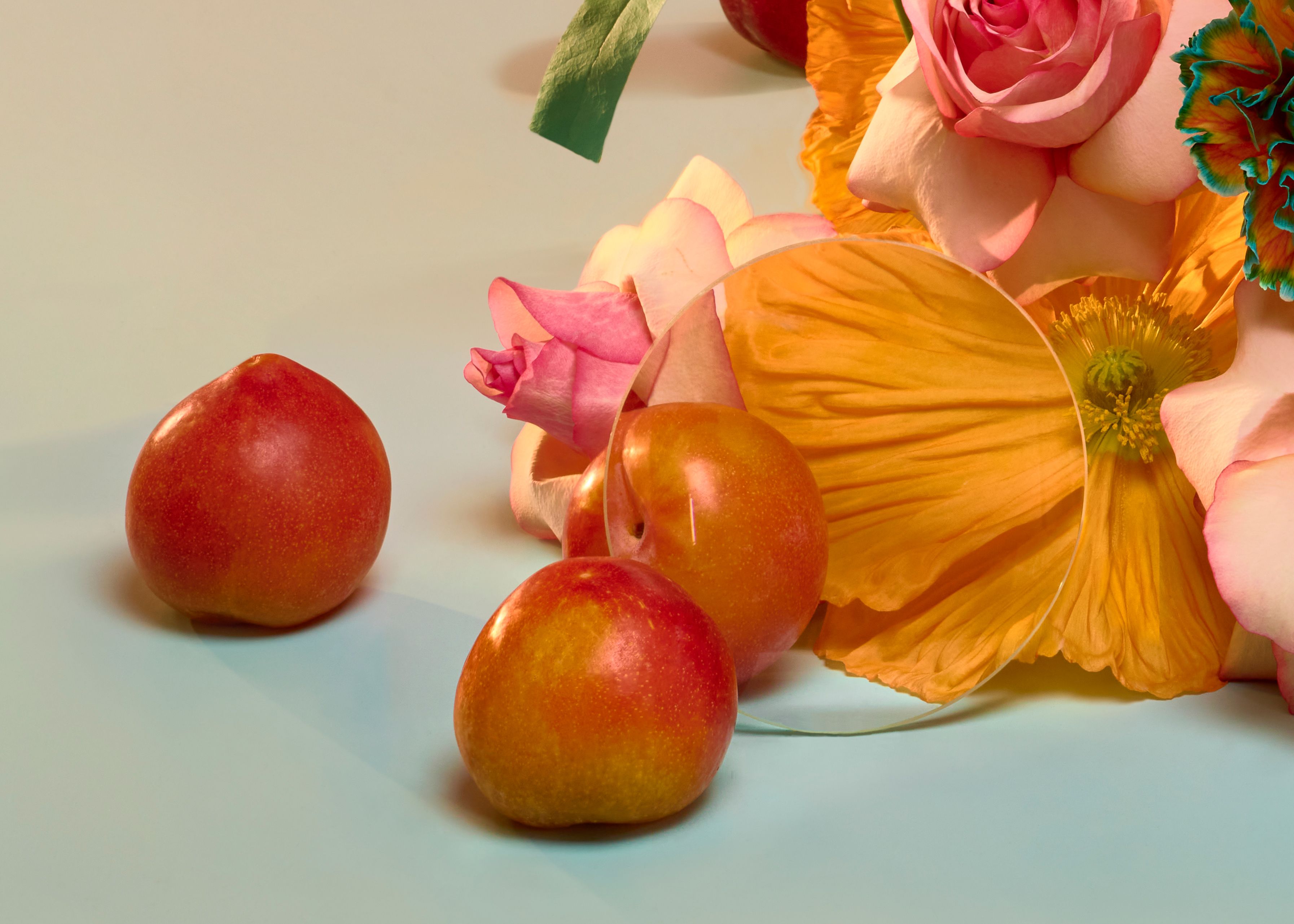 The Art of Floral Bouquets: Create with Savia Bruta by Savia Bruta Flower School