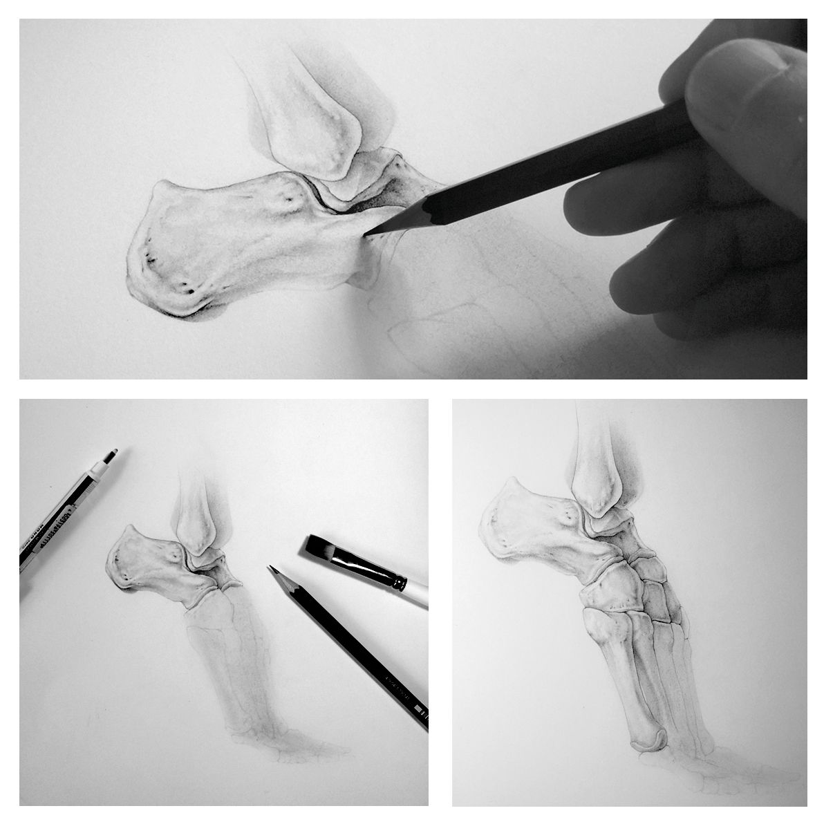 PDF Esencial para Principiantes: Dibujo Lineal con Precisión