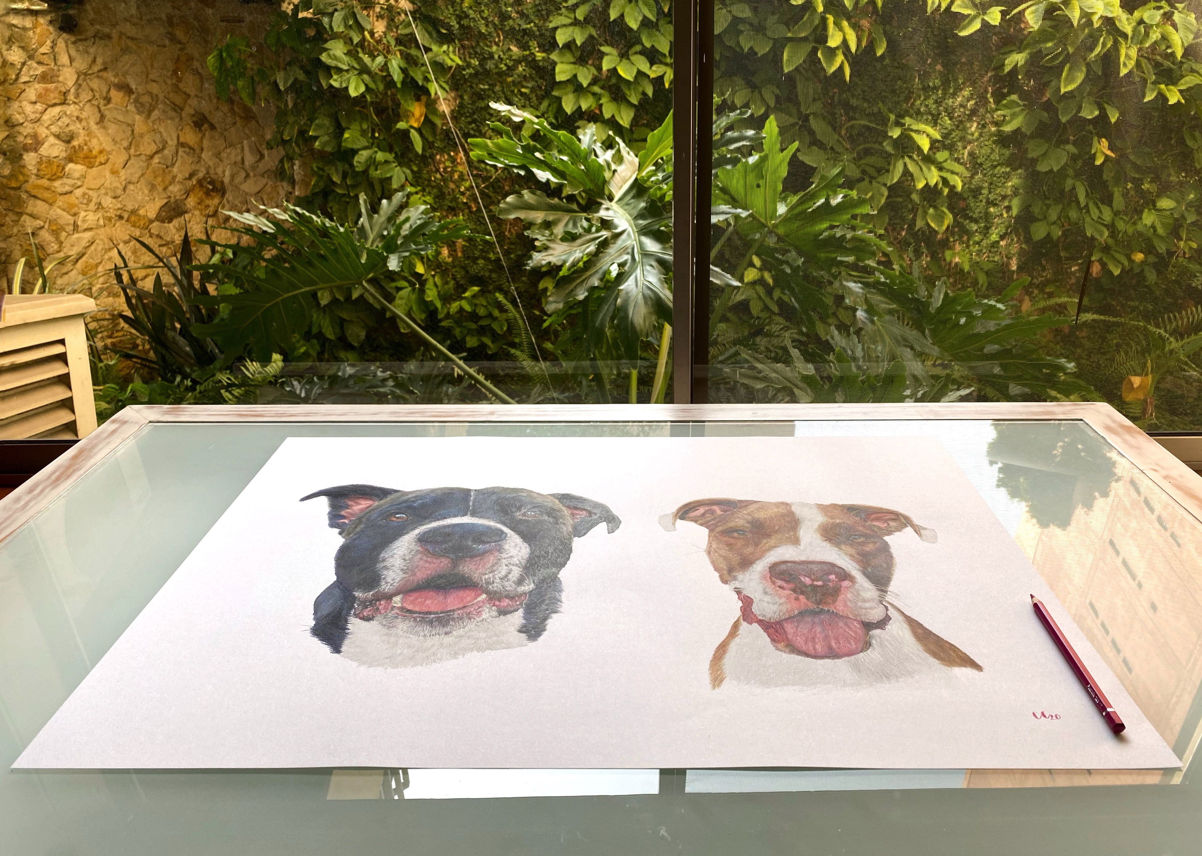 Create Lifelike Pet Portraits: A Course by Camila Correa Castro by Camila Correa Castro