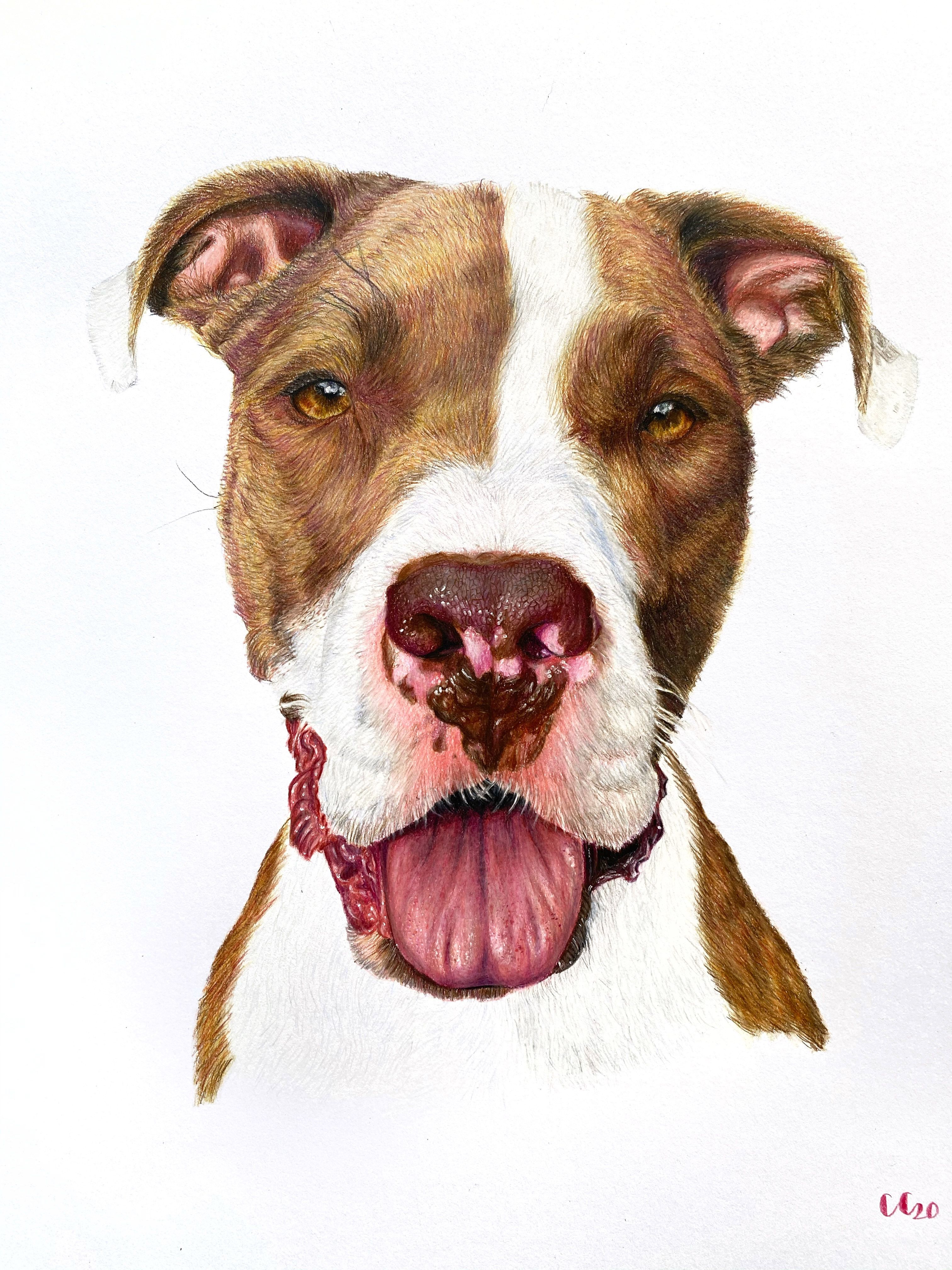 Draw Your Favorite Pets: Learn with Camila Correa Castro by Camila Correa Castro