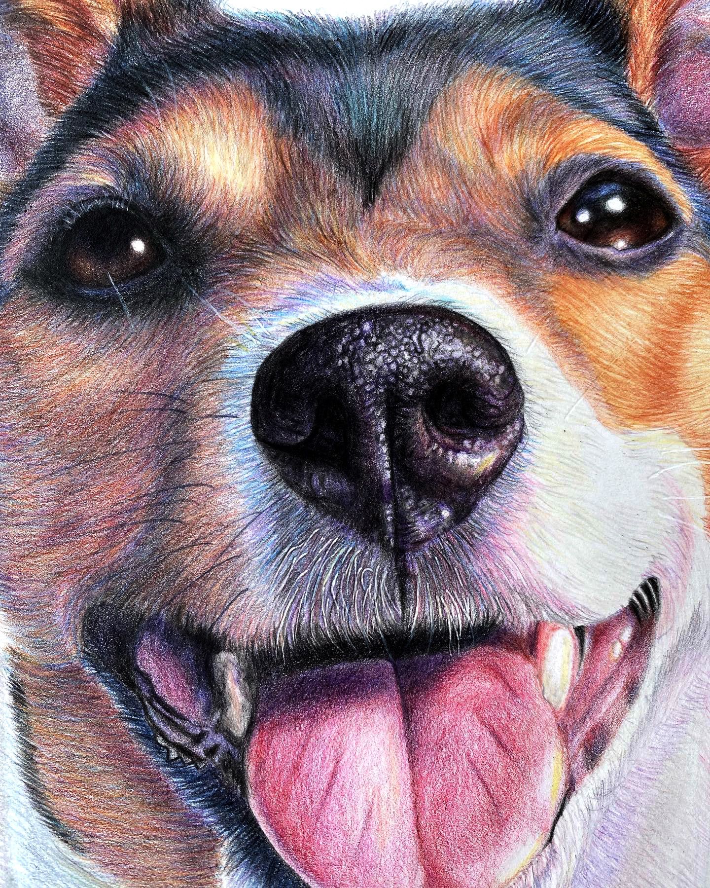 Pet Portraits Made Simple: Camila's Guidance by Camila Correa Castro