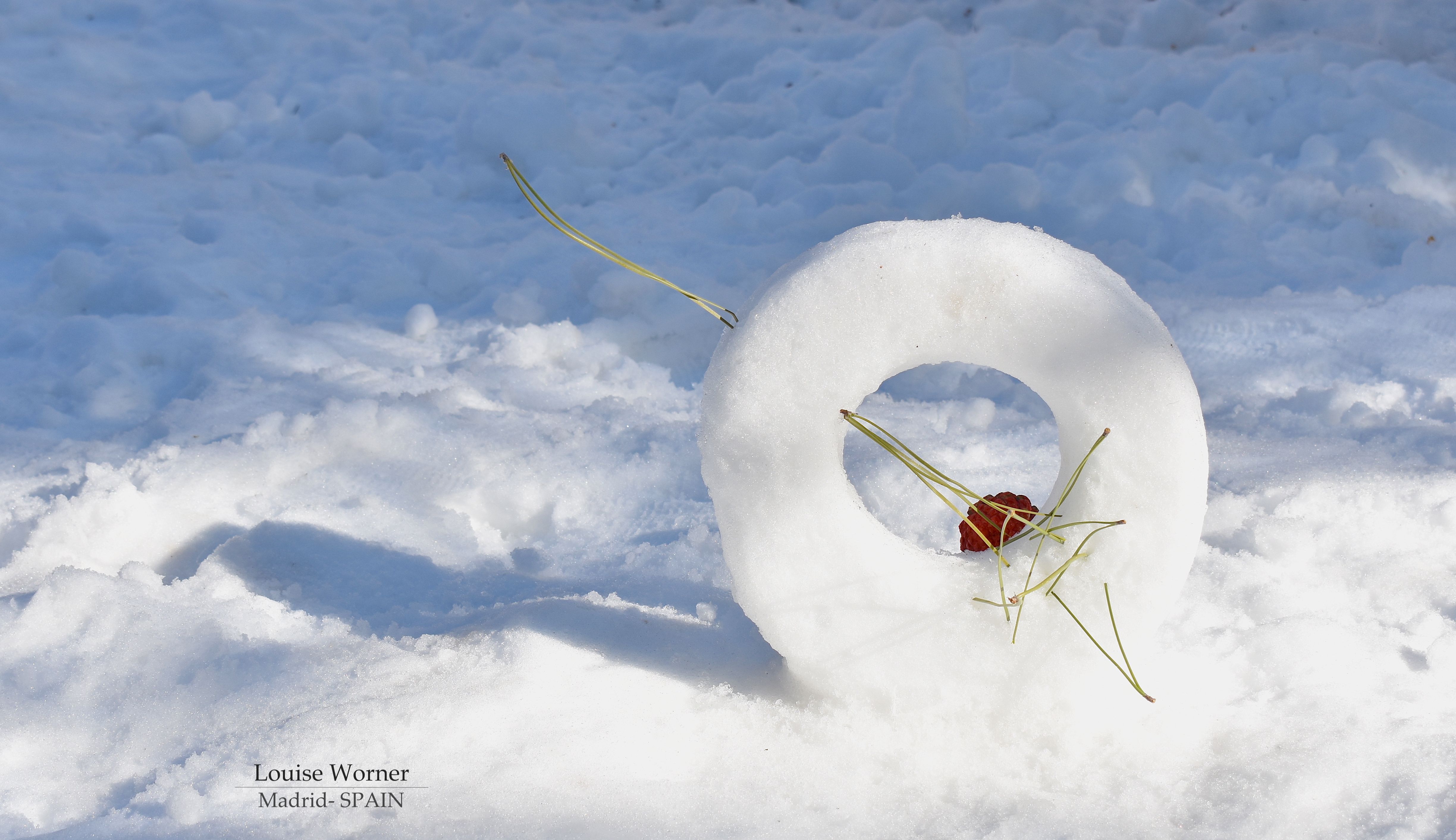From Nature to Art: Learn Ikebana with Louise by Louise Worner