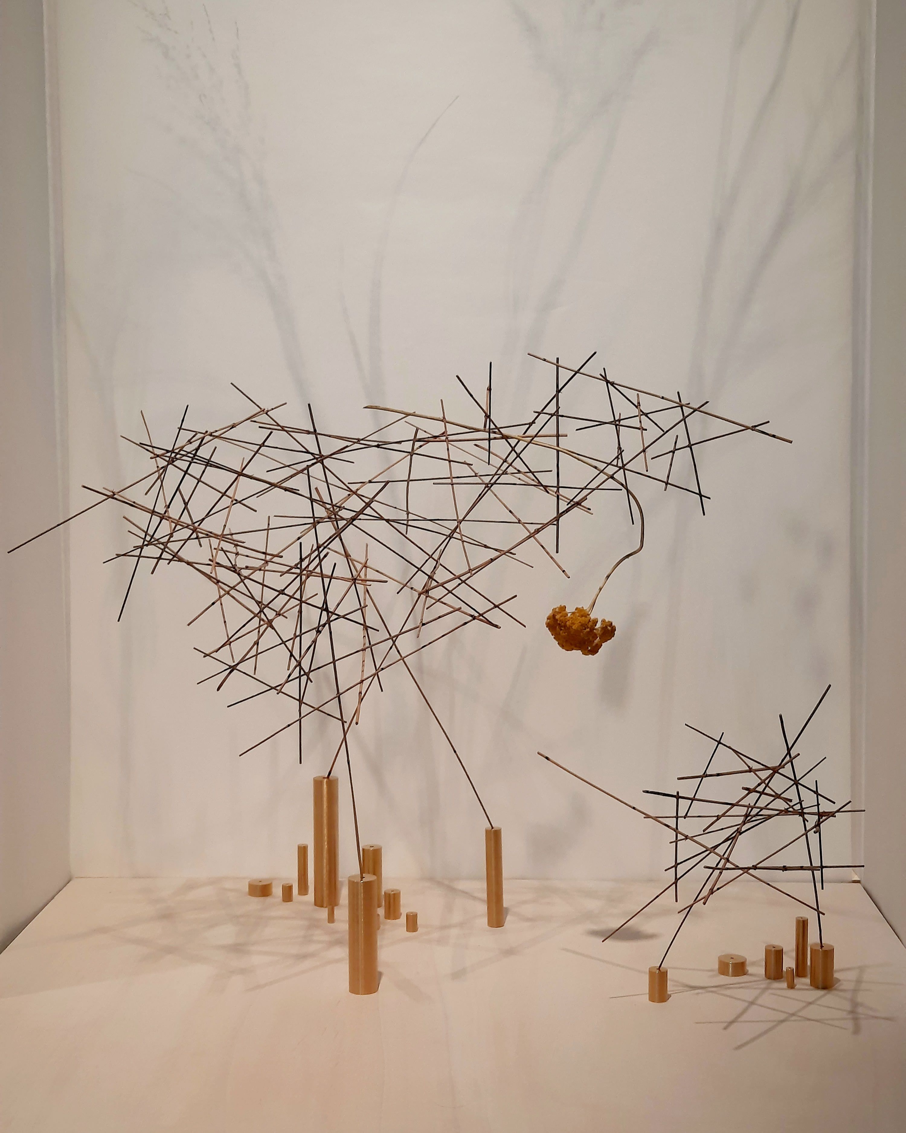 Review: Ikebana Flower Arrangement for Beginners with Louise Worner on Domestika Review: Ikebana Flower Arrangement for Beginners with Louise Worner on Domestika