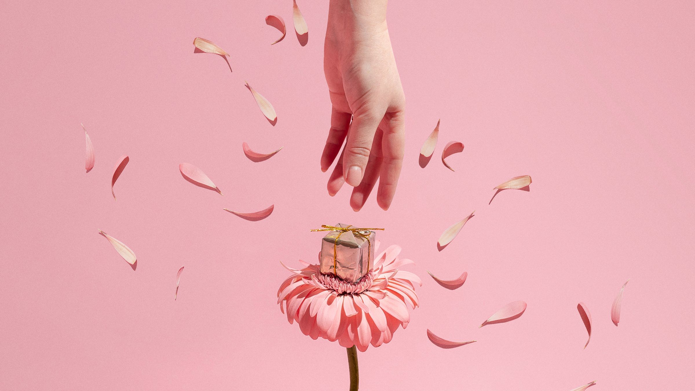 Product Photography Specialization: Lighting, Styling, and Storytelling