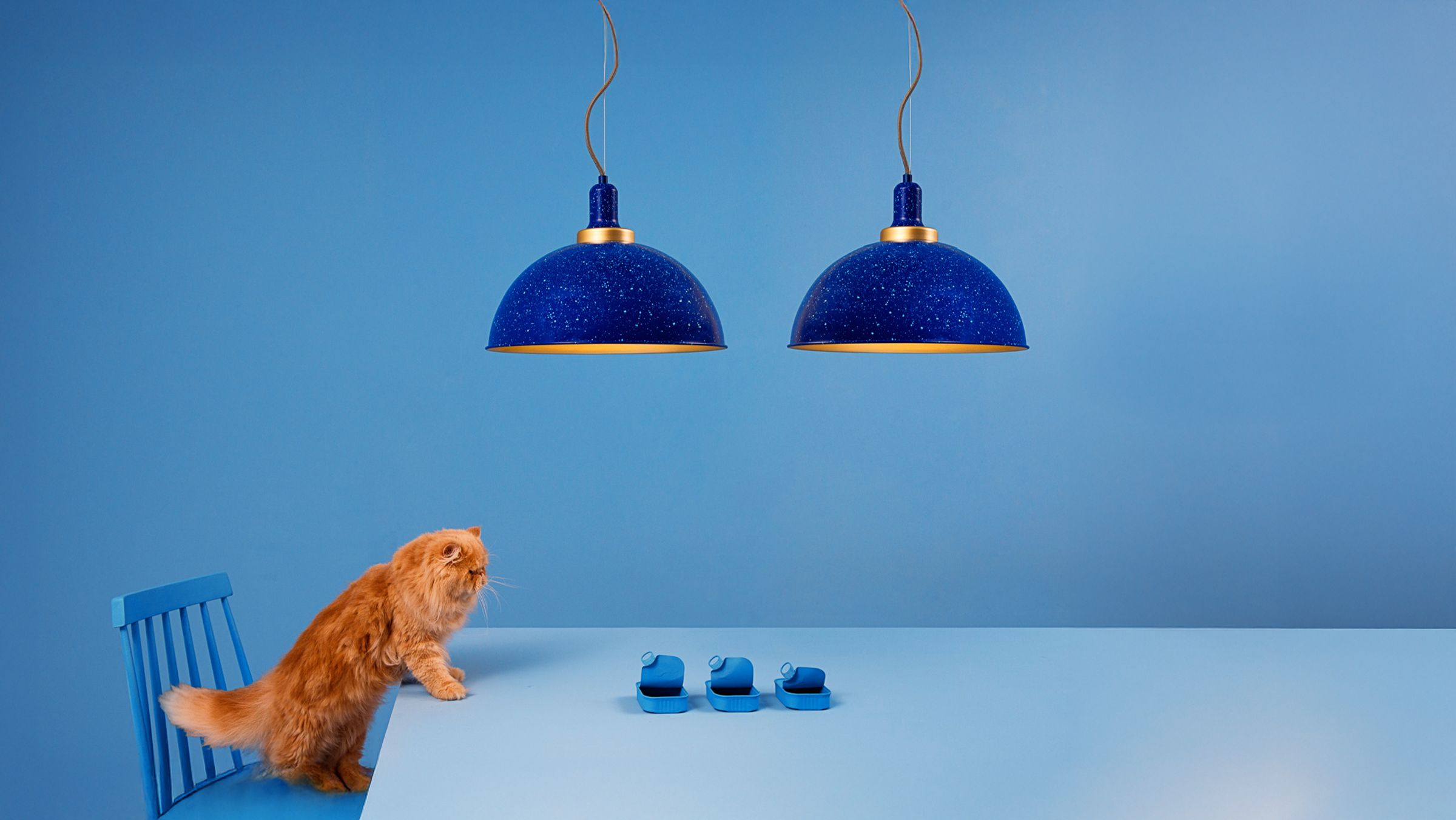 Guided project: Apply DIY tricks to decorate with style