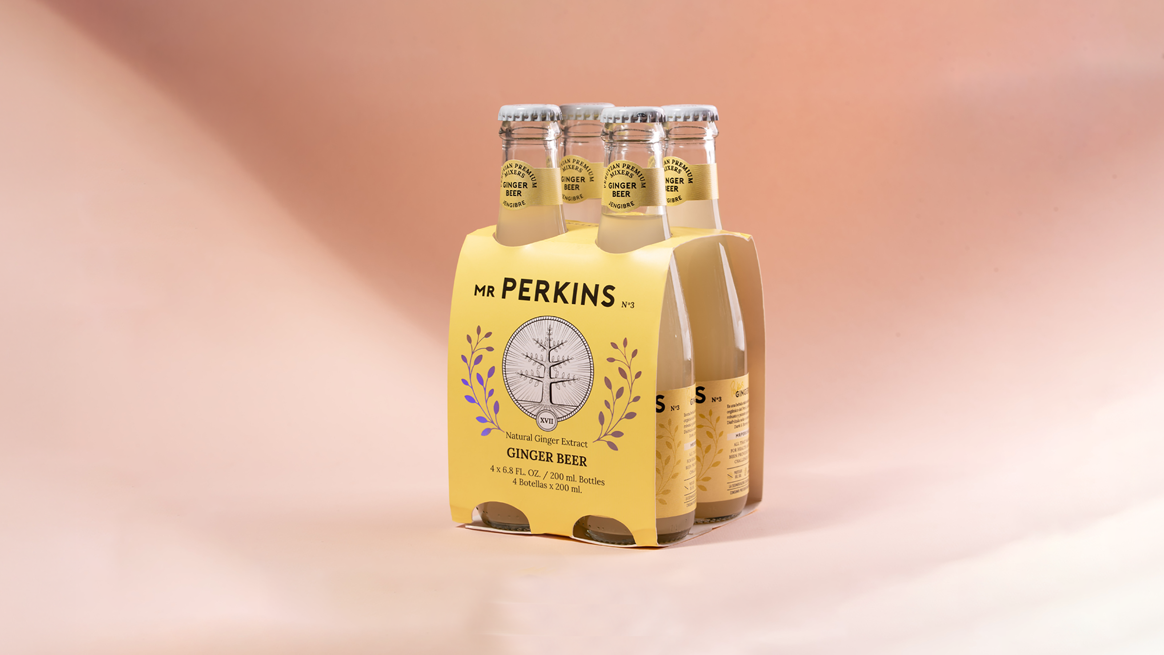 Packaging Design: Fundamentals, Branding and Sustainability