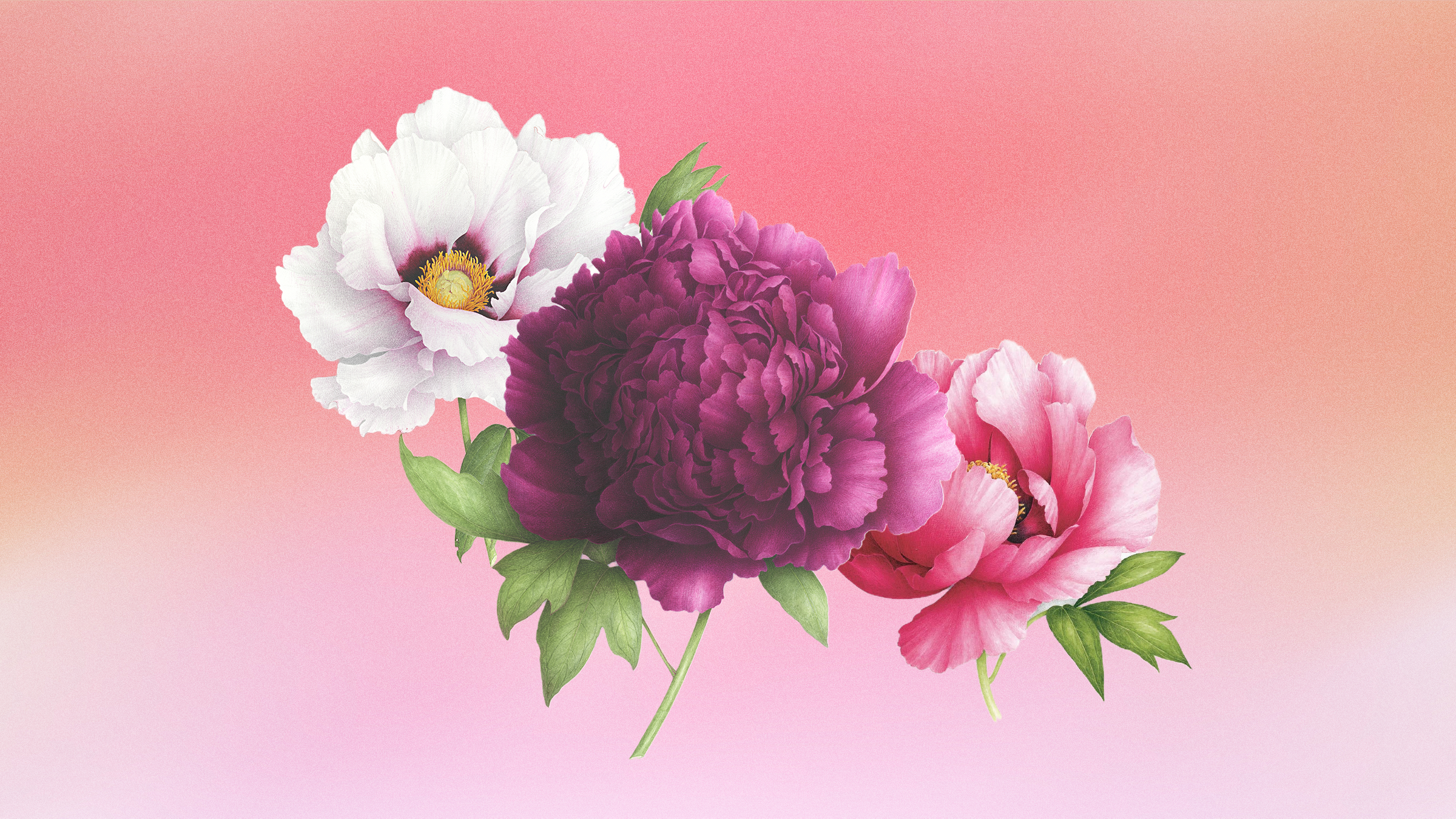 Guided Course: Paint a Cross-Hatch Botanical Illustration