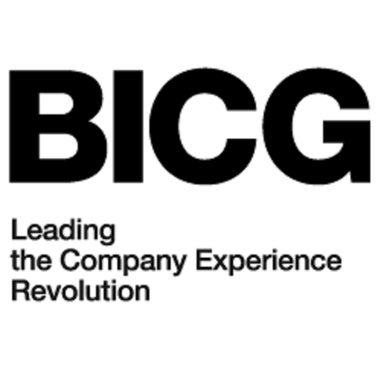 Business Innovation Consulting Group, S.L.