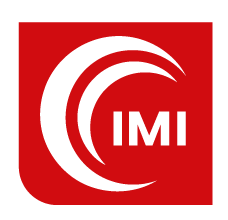 International Montessori Institute