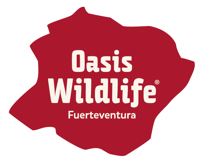 Oasis Wildlife Fuerteventura