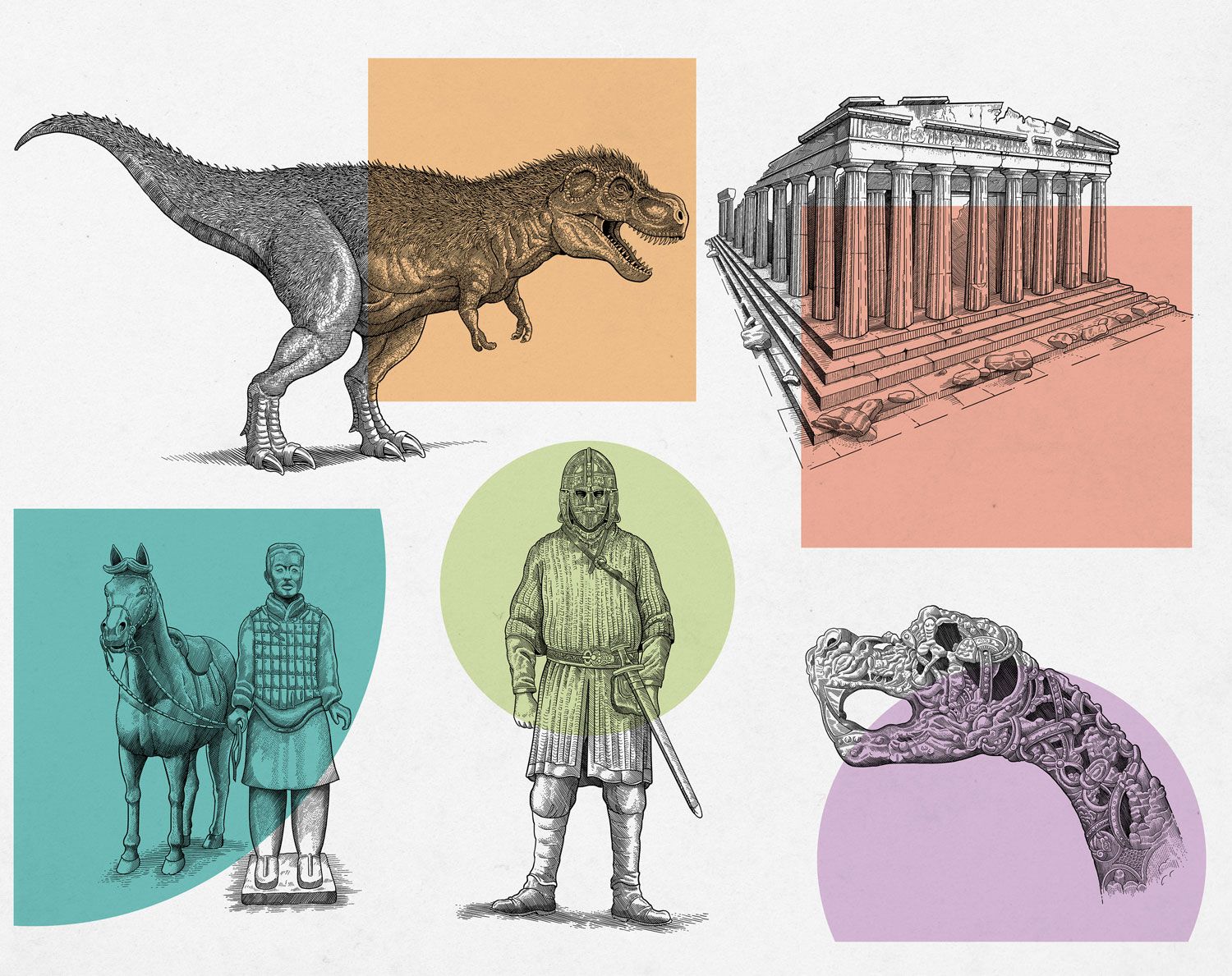 Dk Behind The Scenes At The Museum Domestika