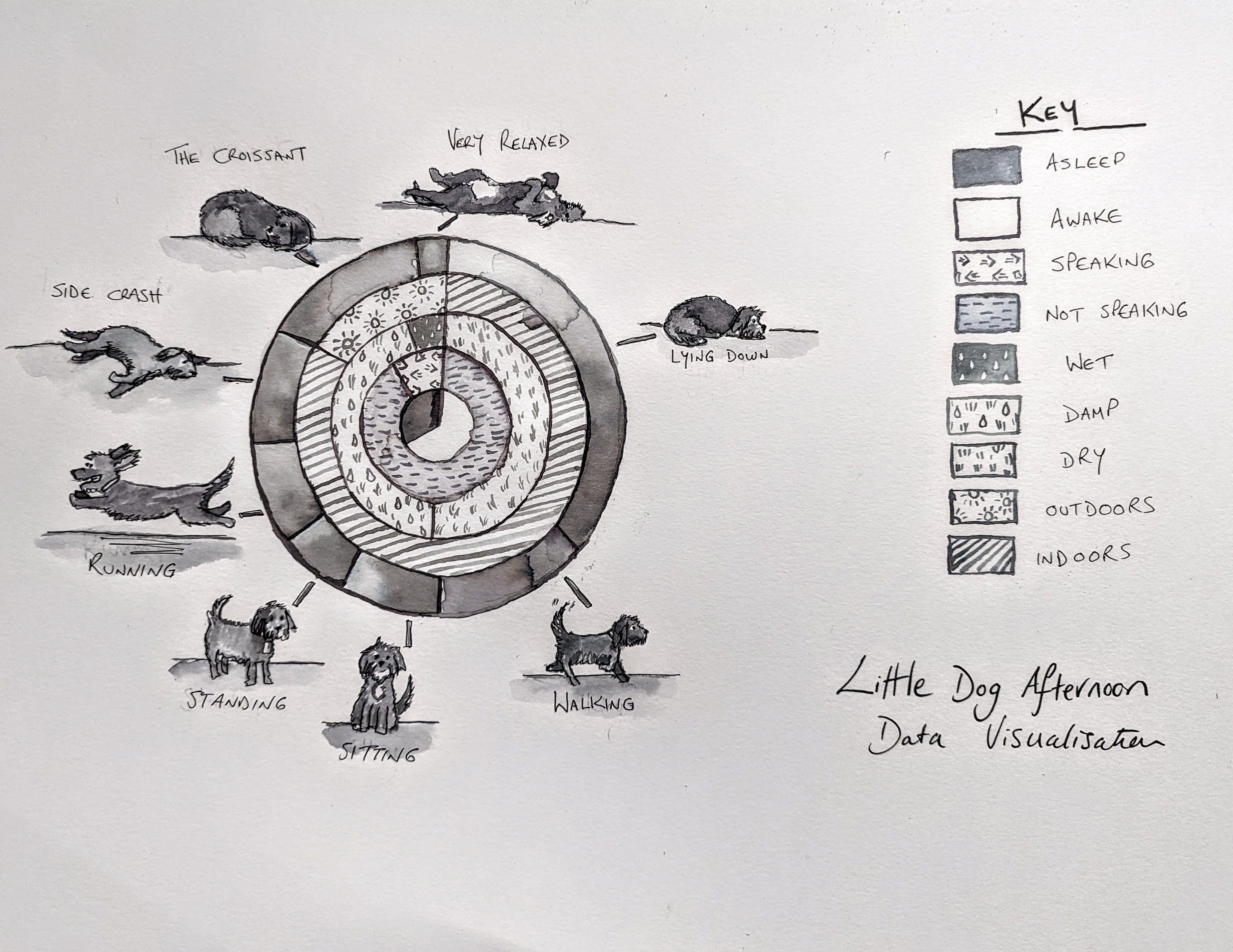 My project for course: Analog Data Visualization for Storytelling ...