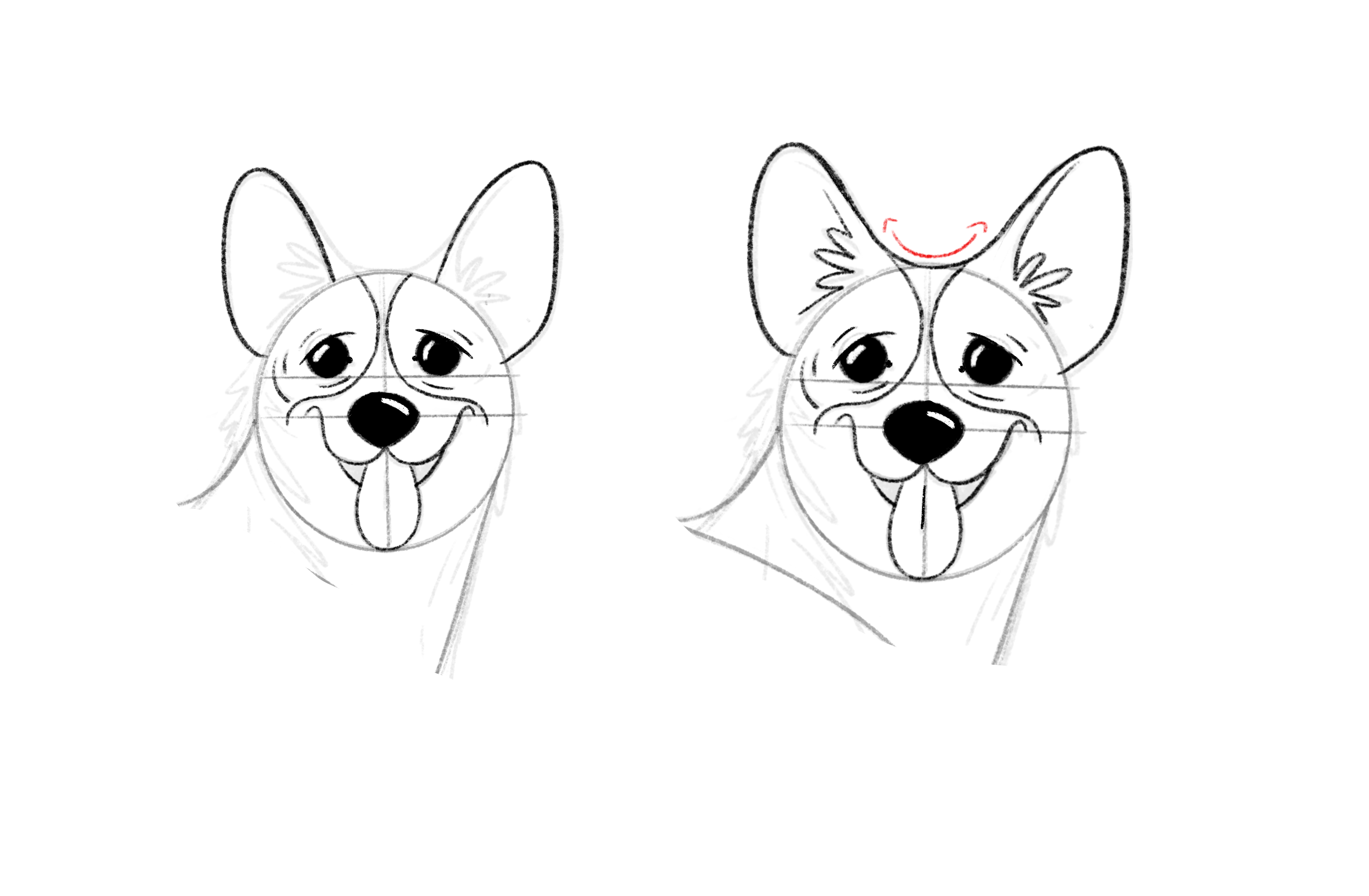 Downloadable tutorial: How to Draw a Corgi Step by Step | Domestika