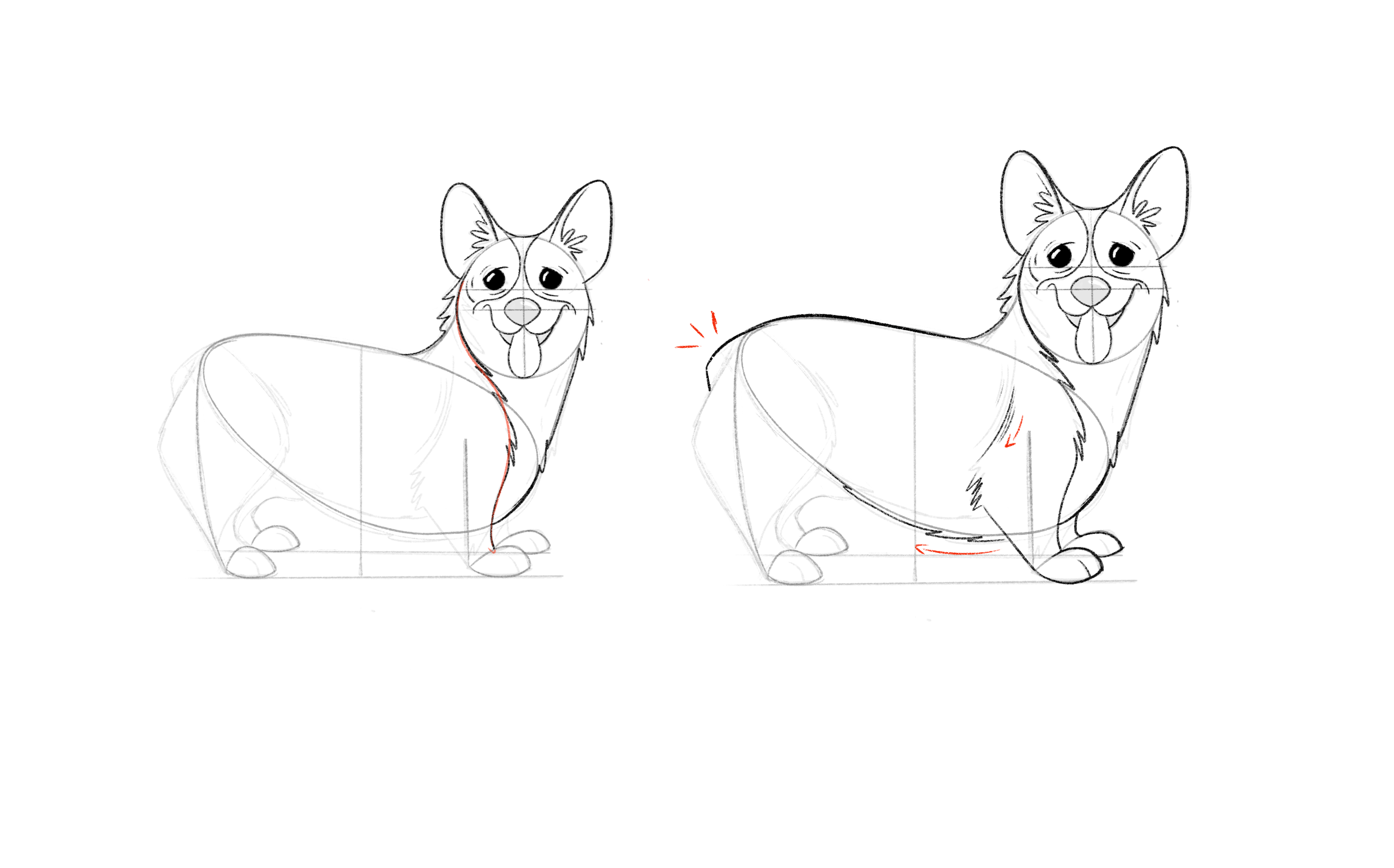 Downloadable tutorial: How to Draw a Corgi Step by Step | Domestika