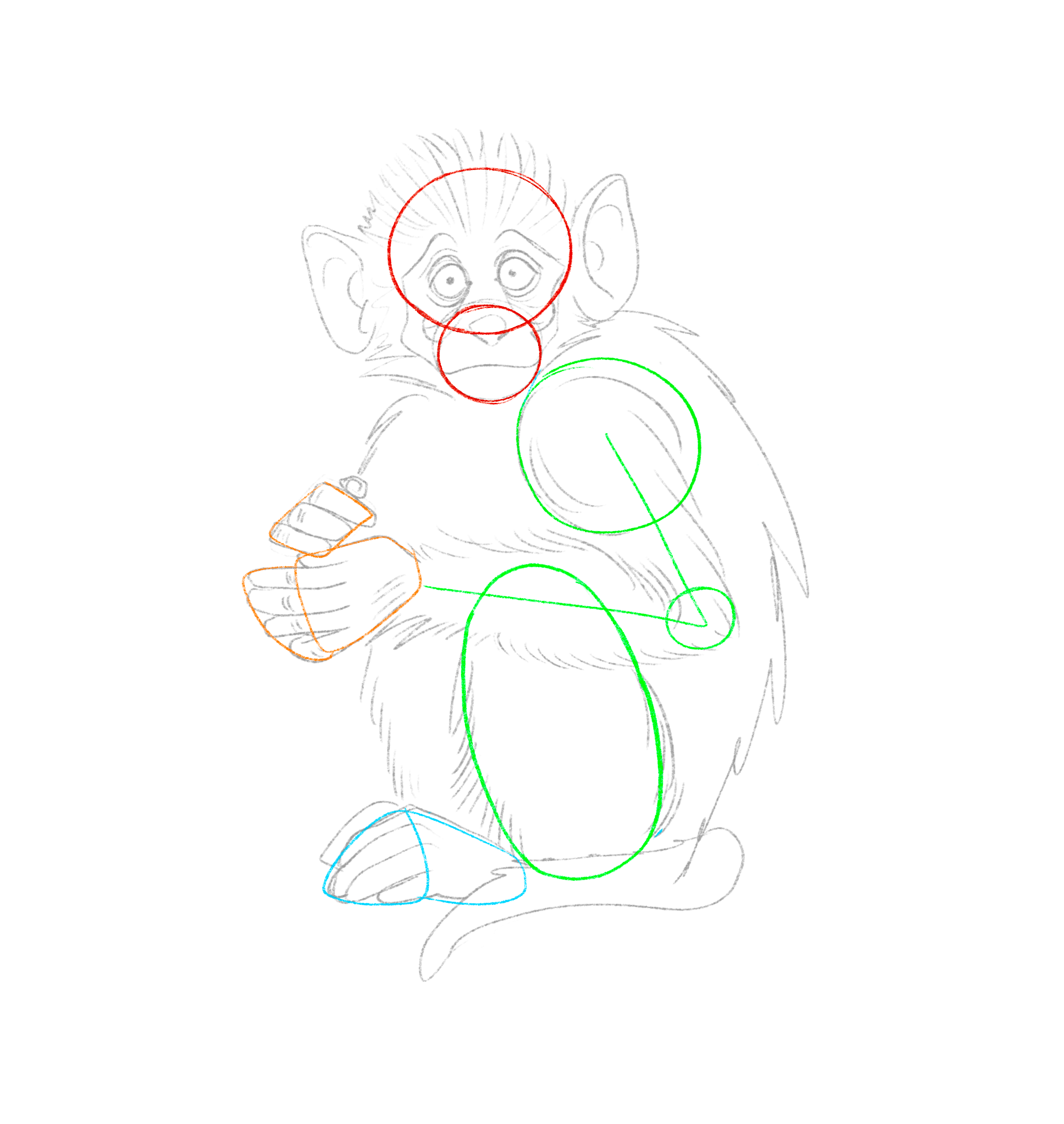 How to Draw A Monkey Step by Step | Domestika
