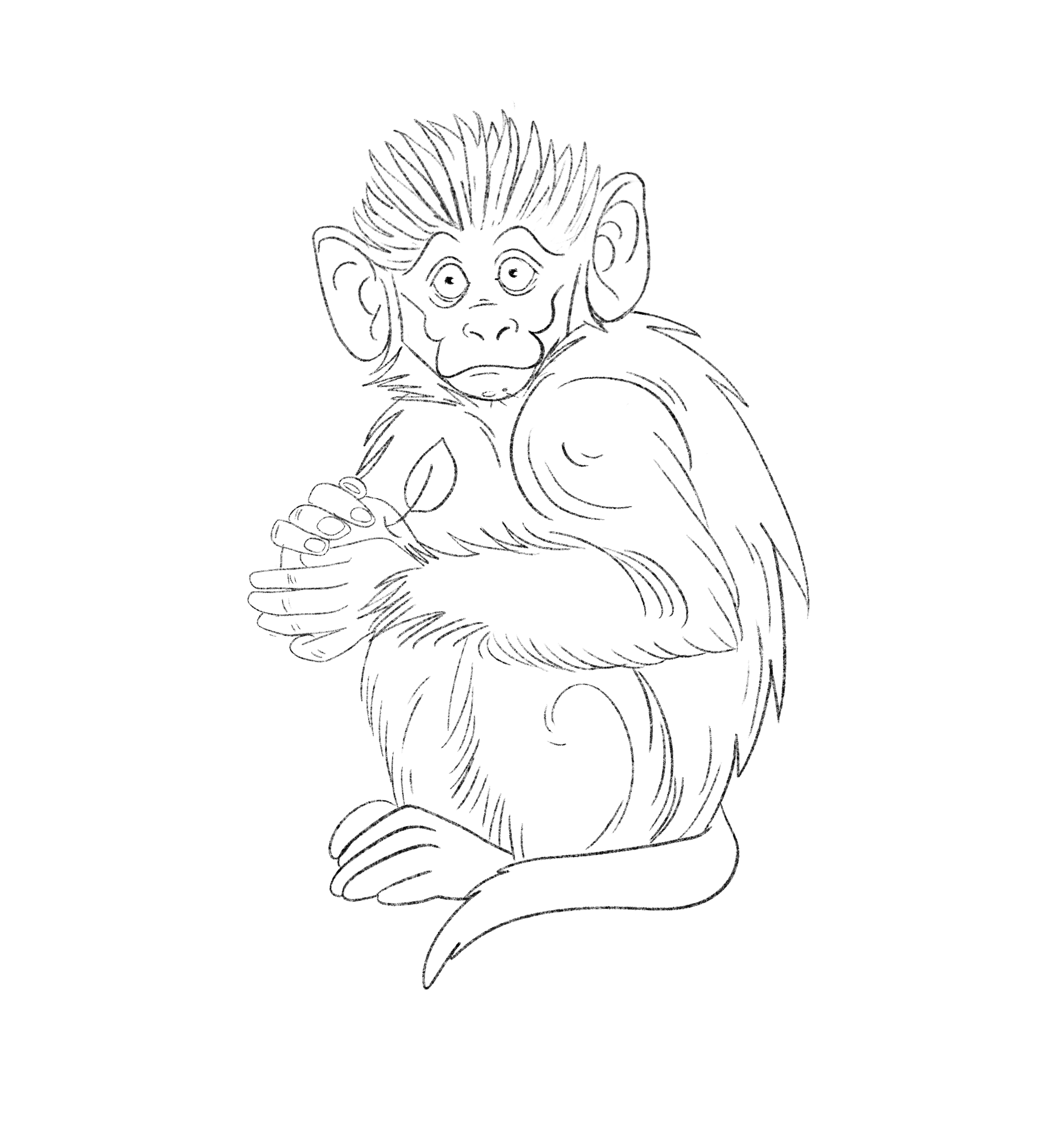 How to Draw A Monkey Step by Step | Domestika