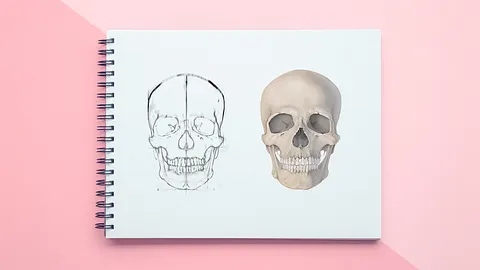 Curso guiado: Domine o desenho anatômico com apenas um lápis