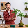 Kokedamalar: Doğal Yosun Saksıları Yaratın  . % Omotesandō Plants tarafından hazırlanan Craft kursu