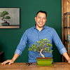 Dominar el arte del bonsai: Técnicas de cultivo y modelado. Un curso de Craft de Alex Mendoza