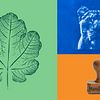 Specialisatie in creatieve ambachtelijke printtechnieken. Een cursus van Craft van Domestika