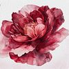 Watercolor Specialization: From Beginners Sketches to Compelling Artworks . Illustration course by Domestika