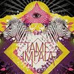 Proyecto para "Ilustración para music lovers", mi curso en Domestika. Design, Ilustração tradicional, e Música projeto de Oscar Giménez - 06.10.2014