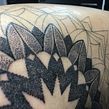 Mandala y amapolas. Blackwork.. Fine Arts, Design, Editorial Design, Photograph, and Traditional illustration project by Aníbal Pantoja - 05.16.2016