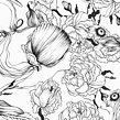 Cover Jesy Almaguer.. Un progetto di Illustrazione tradizionale di Violeta Hernández - 22.06.2016