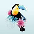 Toucan. Un proyecto de Diseño e Ilustración tradicional de Natalia Escaño - 17.09.2016