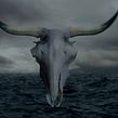 TORO Main titles. Un proyecto de 3D, Animación, Bellas Artes, Cine, Diseño, Motion Graphics, VFX y Vídeo de Fernando Domínguez Cózar - 21.06.2016