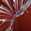 AXN International Rebrand ID's Ein Projekt aus dem Bereich 3D, Br, ing und Identität und Kunstleitung von TAVO STUDIO - 05.12.2016