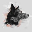 Dog portraits . Fine Arts, and Traditional illustration project by Ricardo Macía Lalinde - 05.20.2017