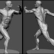 Modelado anatomia. Un proyecto de 3D de Rafa Zabala - 13.05.2017