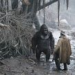 Down of the planet of the Apes - Luca. Een project van 3D van Rafa Zabala - 13.05.2017