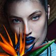 Mamba for Lucy's Magazine Ein Projekt aus dem Bereich Kunstleitung und Fotografie von Nobody Studio - 01.05.2017