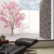 Proyectos varios infoarquitectura. Architecture project by Miguel Albo - 09.01.2017