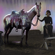 A Whole other country // Leitvox ft. Gavin Clark. Een project van 3D, Animatie, Film, video en televisie, Fotografische postproductie, VFX y  Video van Flaminguettes - 01.04.2015