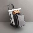 Bugaboo Luggage para CBDA. Un proyecto de Dirección de arte, Fotografía, Stop Motion y Vídeo de Mina Barrio - 14.11.2017