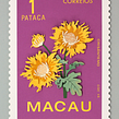 Floral stamps in paper . Projekt z dziedziny 3D, Craft,  Sztuki piękne, T, pografia, Architektura krajobrazu i Papercraft użytkownika Diana Beltran Herrera - 07.12.2017