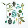 Leaves in paper (proposal). Art Direction, and Traditional illustration project by Diana Beltran Herrera - 12.07.2017