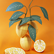 Paper fruits: Lemon. Projekt z dziedziny Design, Projektowanie produktowe, Trad, c, jna ilustracja, Architektura krajobrazu i Papercraft użytkownika Diana Beltran Herrera - 07.12.2017