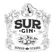 SUR GIN. Design, Traditional illustration, Lettering, and Packaging project by Diego Giaccone - 01.24.2018
