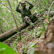 El secreto del Bosque - Largometraje documental. Un proyecto de Cine, vídeo y televisión de Sonia Abellán Avilés - 14.03.2018