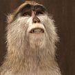Navidul “exploradores” (2009). 3D, Animation, Film, Video, and TV project by Juan Solís García - 03.26.2018