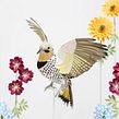 Northern flicker. . Un proyecto de 3D, Animación de personajes, Escenografía y Papercraft de Diana Beltran Herrera - 30.06.2018