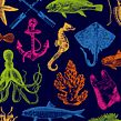 UPV/EHU en el Mar. Un proyecto de Diseño y Diseño gráfico de Leire y Eduardo - 12.11.2018