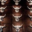 Carnal Prime Steak house. Br, ing & Identit project by Goster - 01.24.2019
